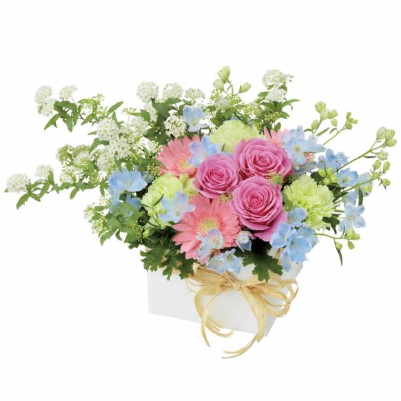 お祝いの花 | 京都府京都市下京区の花屋 花留にフラワーギフトはお任せ