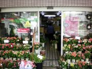 「花留」　（京都府京都市下京区）の花屋店舗写真3